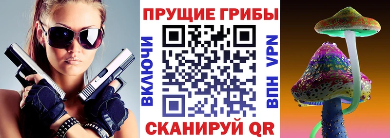 Галлюциногенные грибы Cubensis  ссылка на мегу   Каневская  как найти закладки 